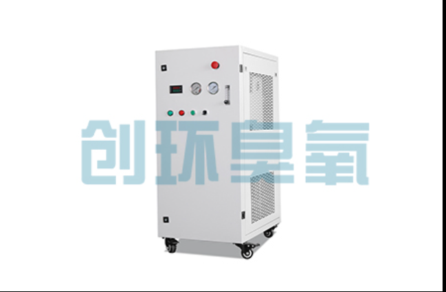 梁平工厂化养鲈必看：2026年臭氧发生器替代传统消毒的最新方案