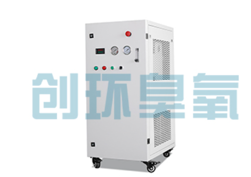 梁平石斑鱼养殖水质调控完整指南：臭氧发生器配置与操作步骤