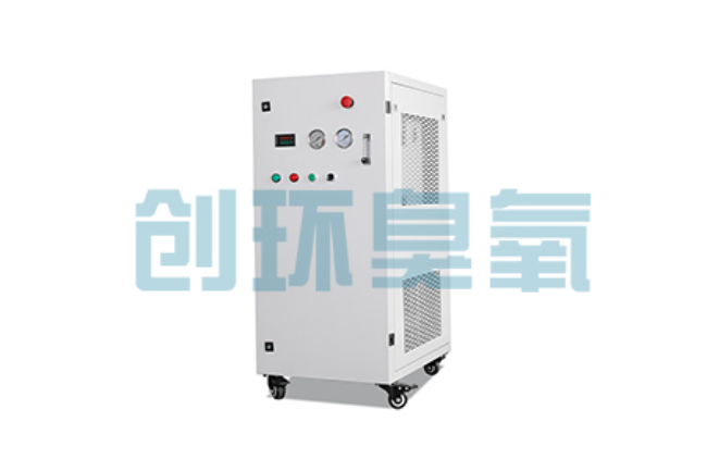 梁平比传统换水更高效？臭氧发生器在石斑鱼养殖中的水质净化原理解析