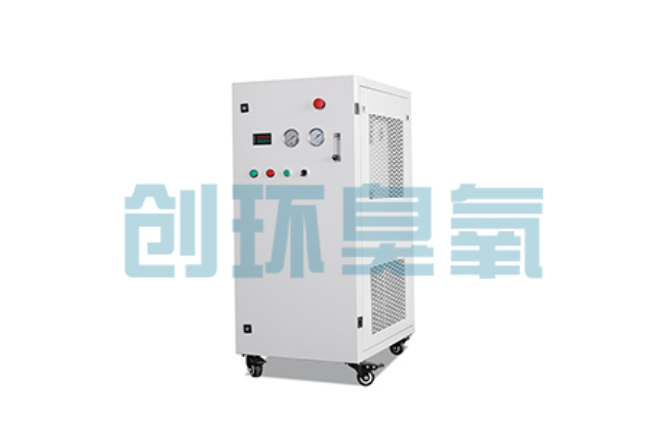 梁平比传统换水更高效?臭氧发生器在石斑鱼养殖中的水质净化原理解析